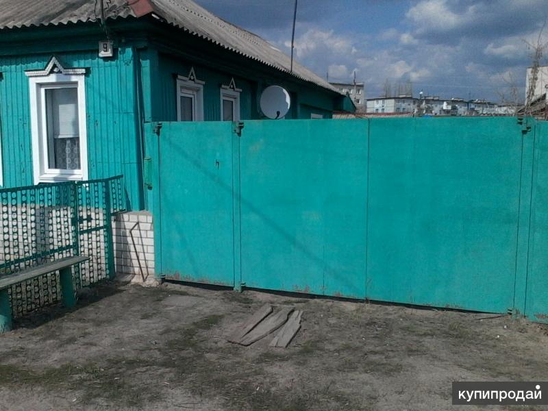 Купить Скотину В Городе Урюпинске На Авито