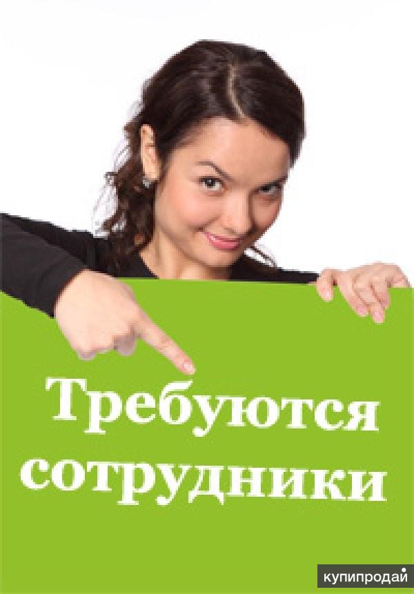 Работа дома (без продаж, без вложений)