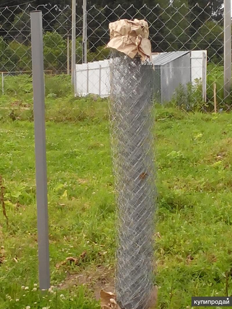 Забор из рабицы 6005. Сетка рябица или рабица. Метр сетки рабицы. Сетка заборная 50*100 металл-полимер (1. Сетка рабица 30 х 30 мм, оцинк.