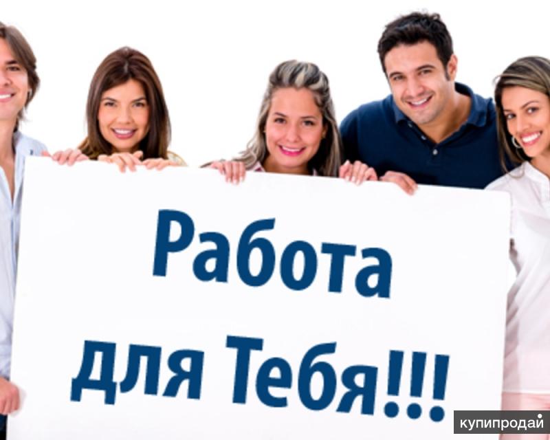 Региональный менеджер интернет-магазина