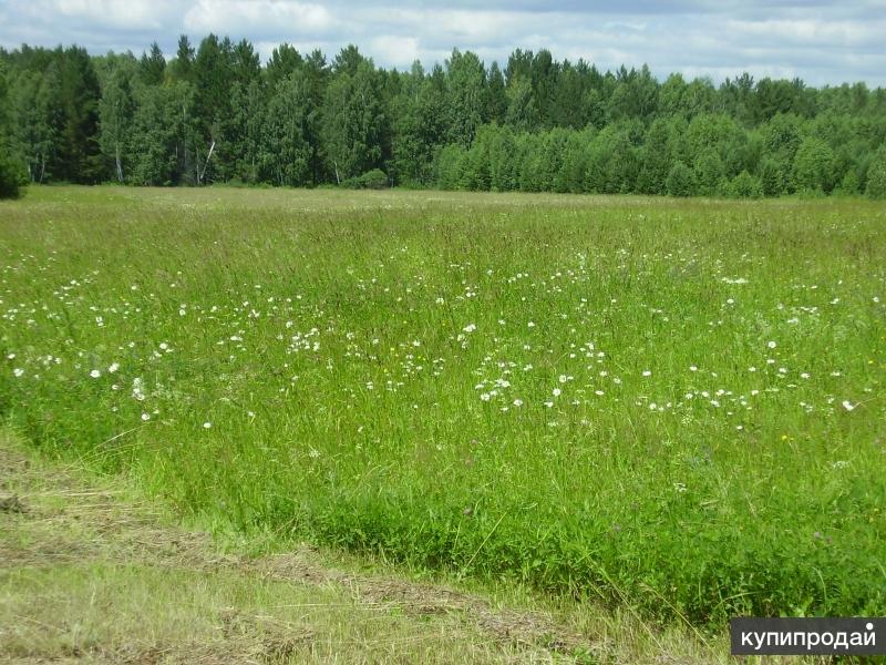 Полевая земля фото