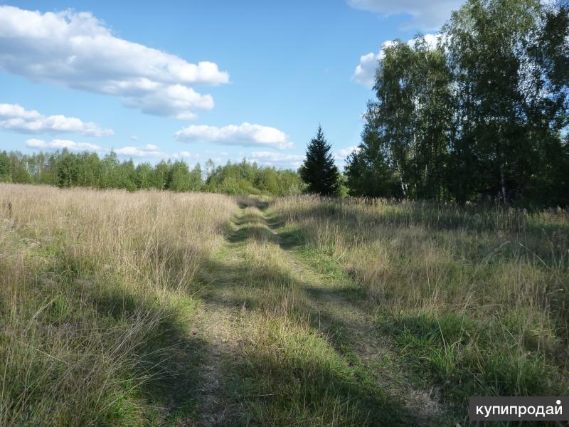 Земельные участки в подмосковье недорого. Федякино Егорьевский район. Деревня Федякино Московская область. Федякино Егорьевский район участок. Федякино Калужская область.