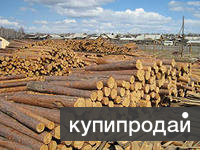 Пиловочник Пиломатериал