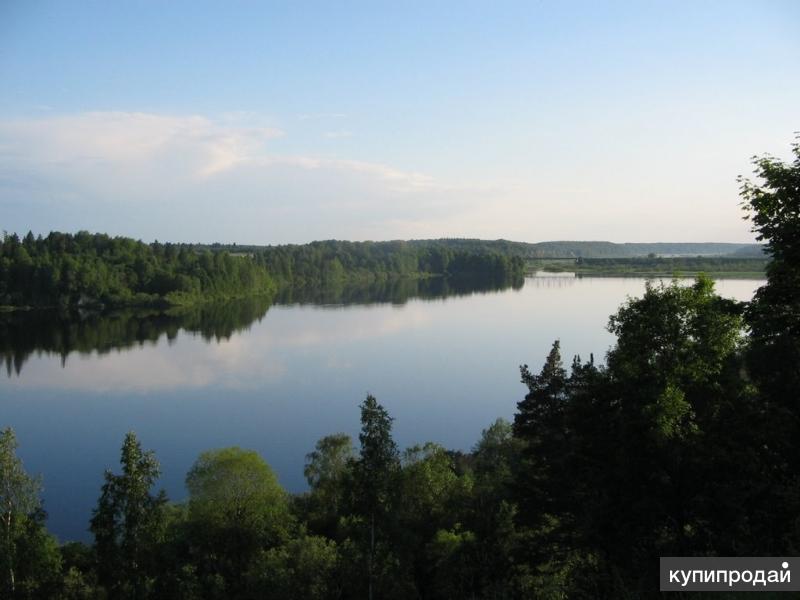 Торковичи купчино