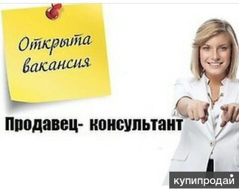 Продавец-консультант