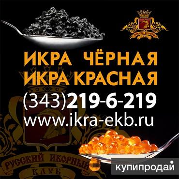 Купить Черную Икру В Екатеринбурге Цена