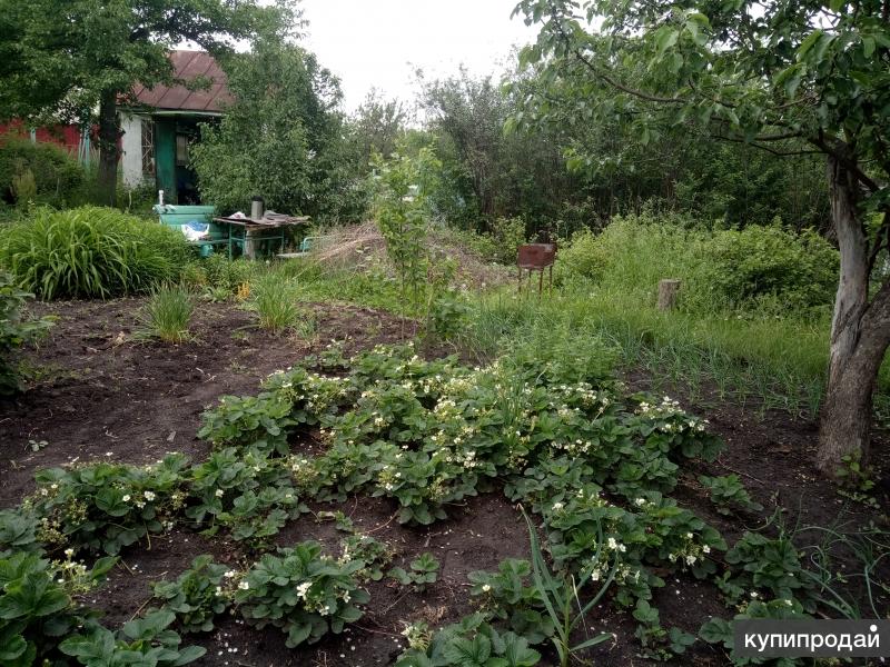 Садовые участки в челябинске недорого. Сад Слава Челябинск. СНТ Слава Челябинск.