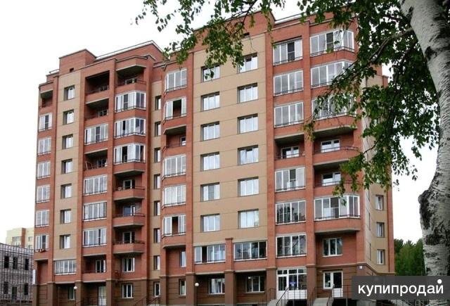 Сдается студия в Кольцово