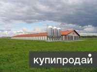Земельный участок площадью 1,89 га. Огорожен, в собственности.