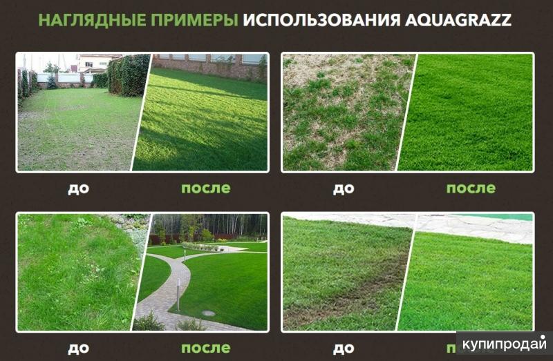 Газон до и после фото