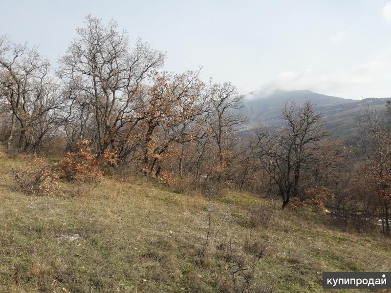 Купить Участок Нижняя Кутузовка Алушта