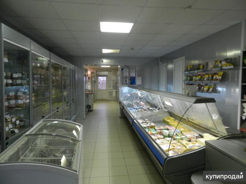 Продажа Магазина В Миассе