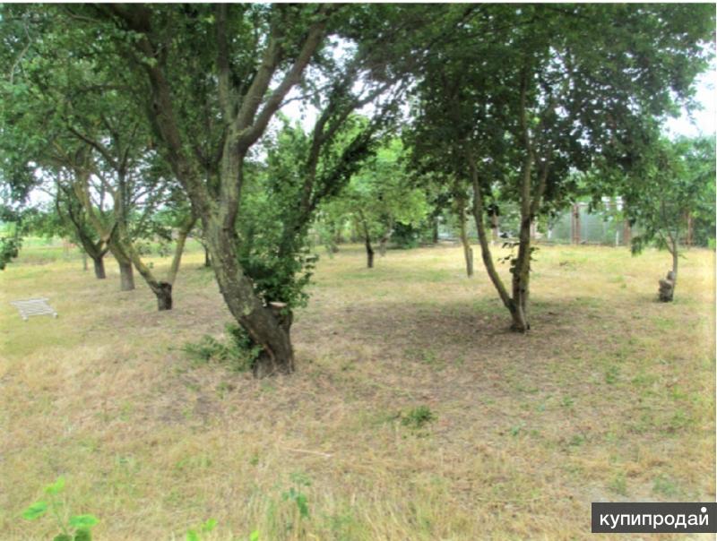 погода в красном кургане анапский