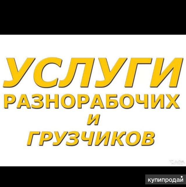 Разнорабочие и грузчики