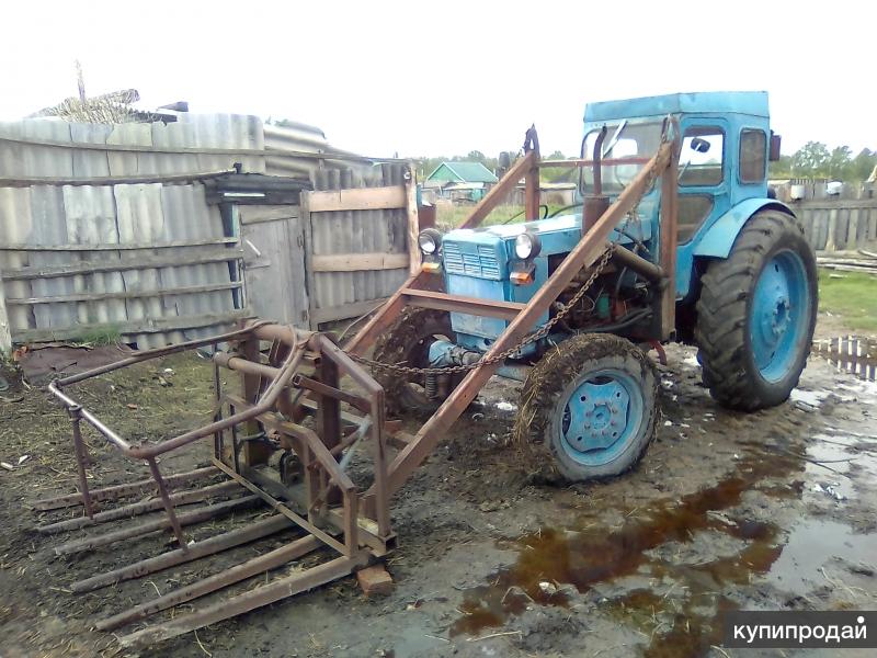 Купить Кун Бу В Ростовской Области