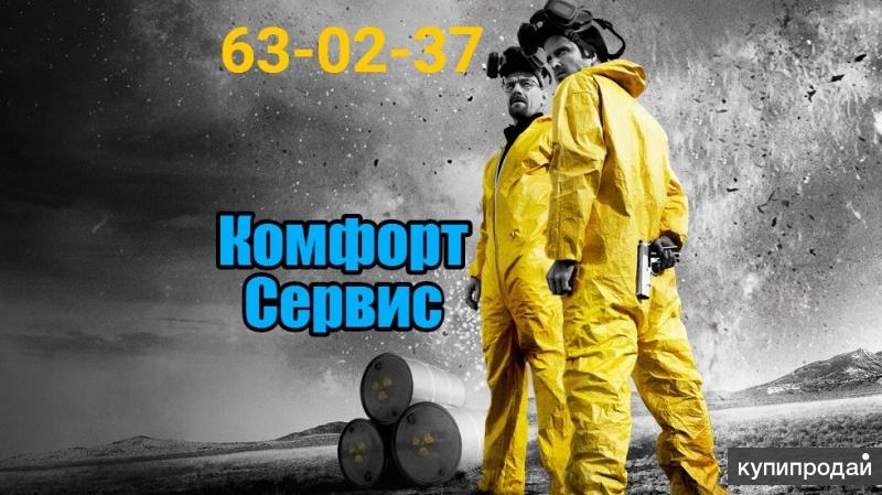 Уничтожение клопов, тараканов, муравьев, блох в Орле без запаха