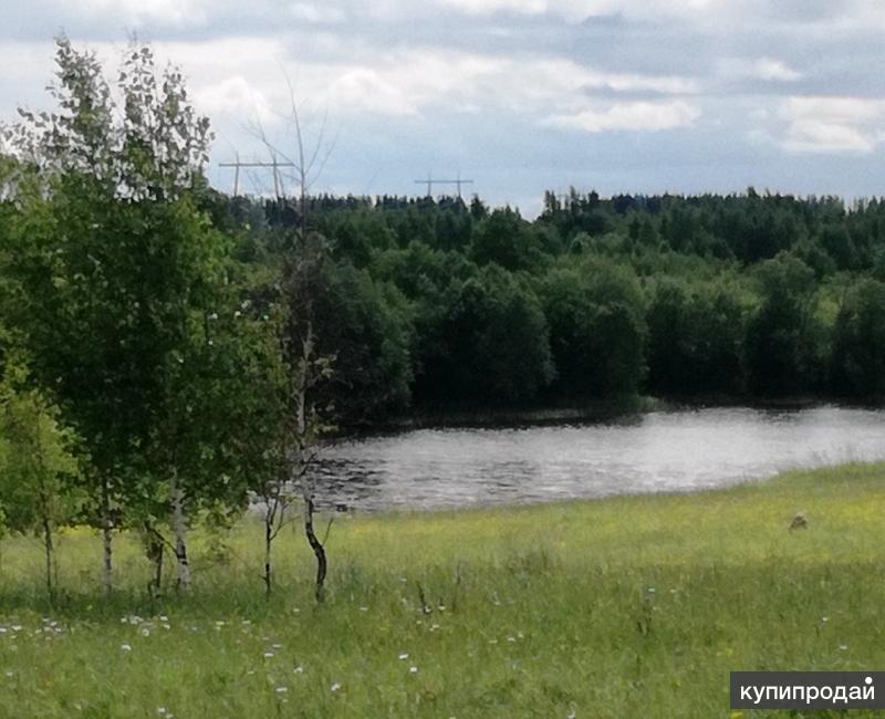 Болдиново. Участок 21 сотка на 1-й линии Нерли.