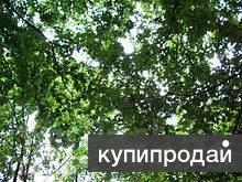Продам земельный участок