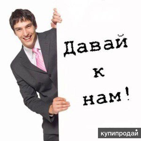 Бухгалтерская помощь