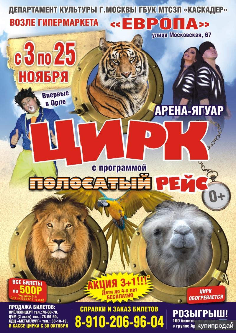 Цирк арена ягуар фото