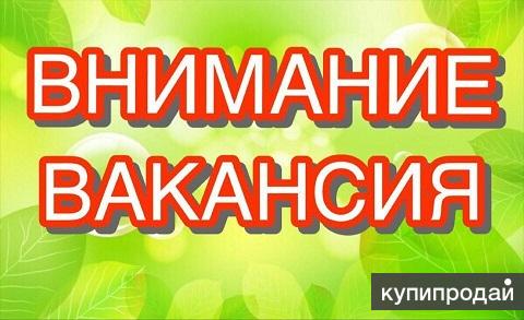 сотрудники для работы на дому удаленно