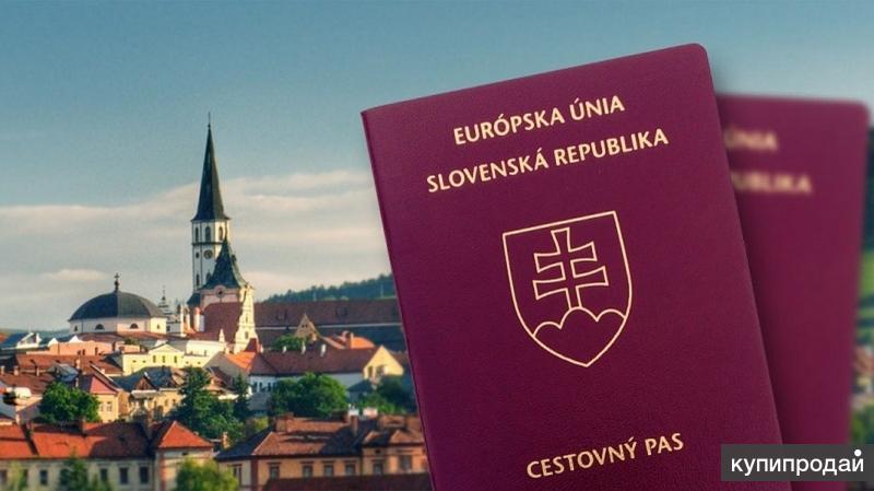 Необходимые документы для подачи заявления