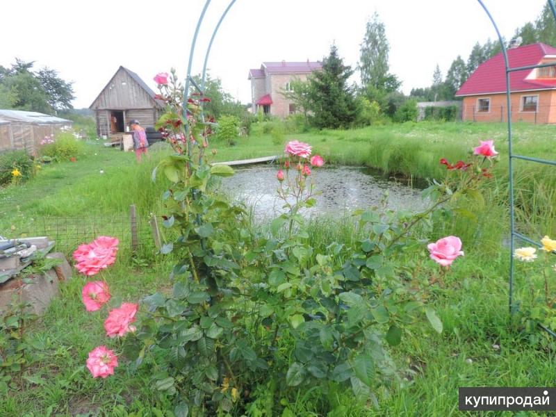 Дом (ИЖС) в престижном мест. Участок 32 сот. дер.Владимировка