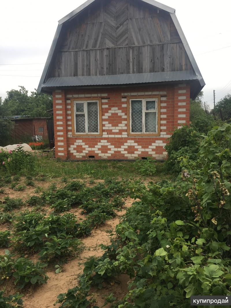 Дача нижний новгород. Дачи в Кстово Нижегородской области. Б.Ельня Нижегородской области. Сад в Ельне Нижний Новгород. Дача кирпичная в н Новгороде.