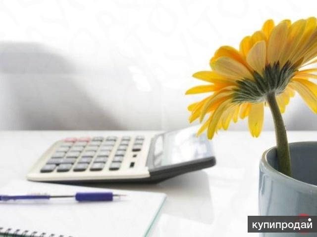 Бухгалтерские услуги, ведение, сдача отчетности