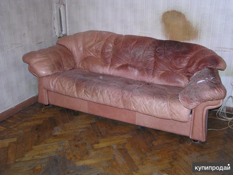 Отдам даром старый диван