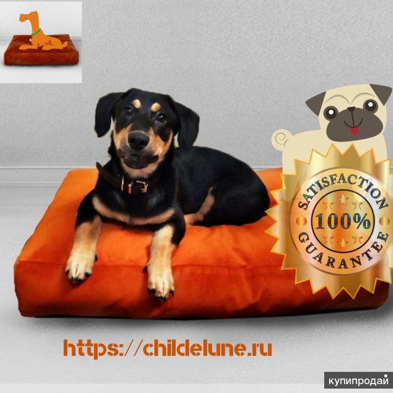 Лежак для собаки "Лисий цвет", Сhildelune