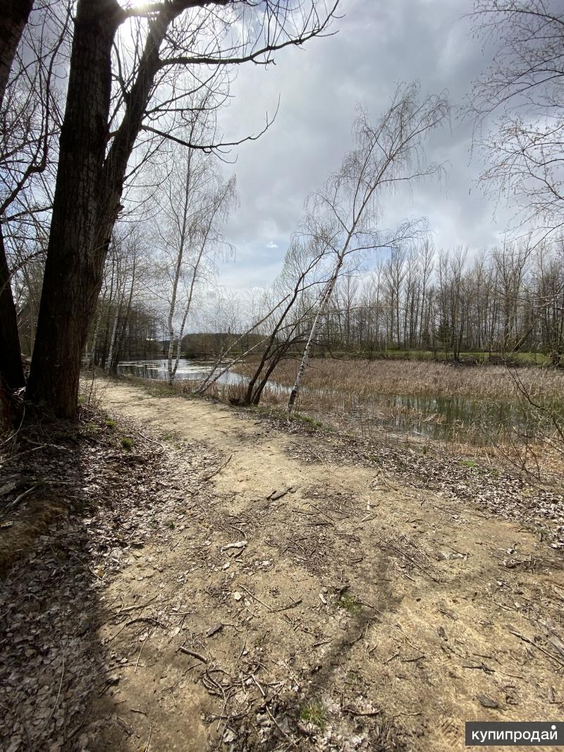 Купить Дачу В Горельском Лесхозе Тамбовской Области