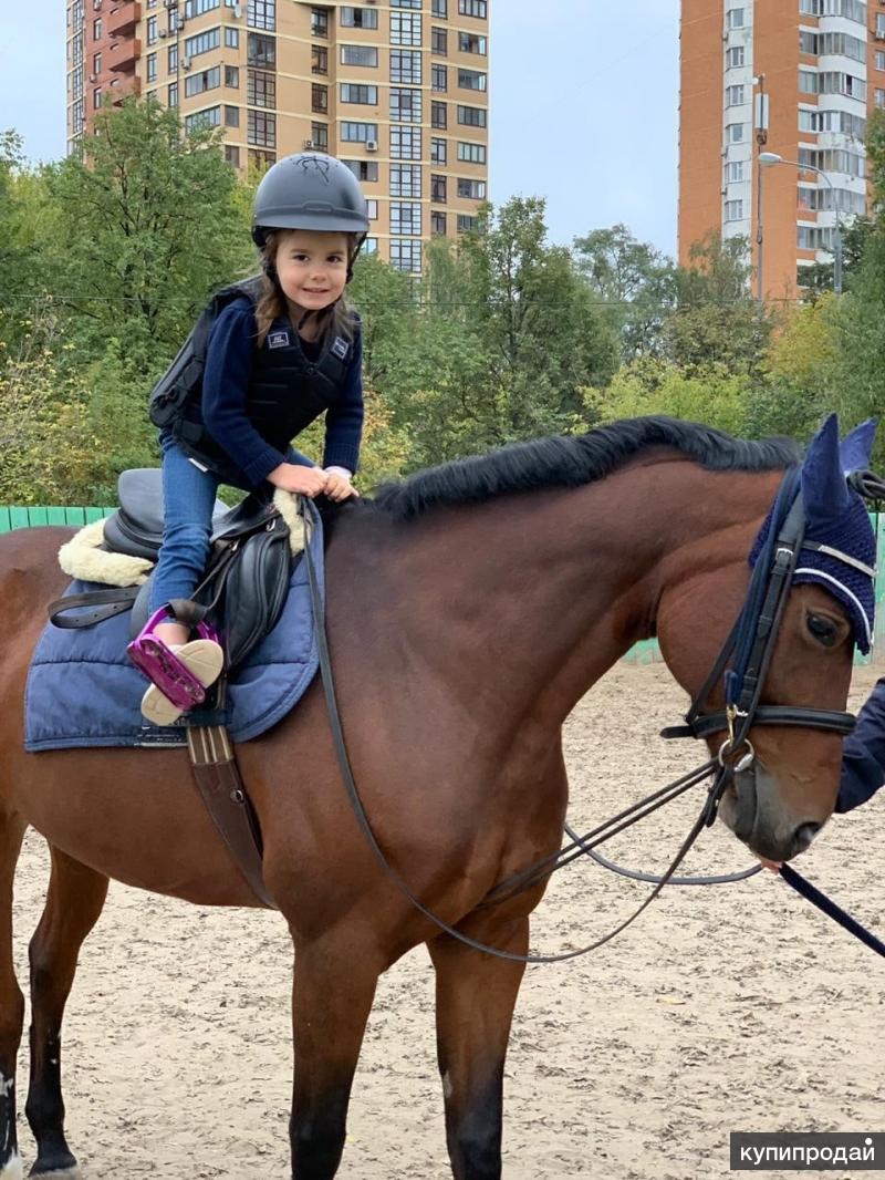 Сколько стоит кск. Верховая езда в Москве. Детский конный спорт. Детская верховой езды. КМС по конкуру.