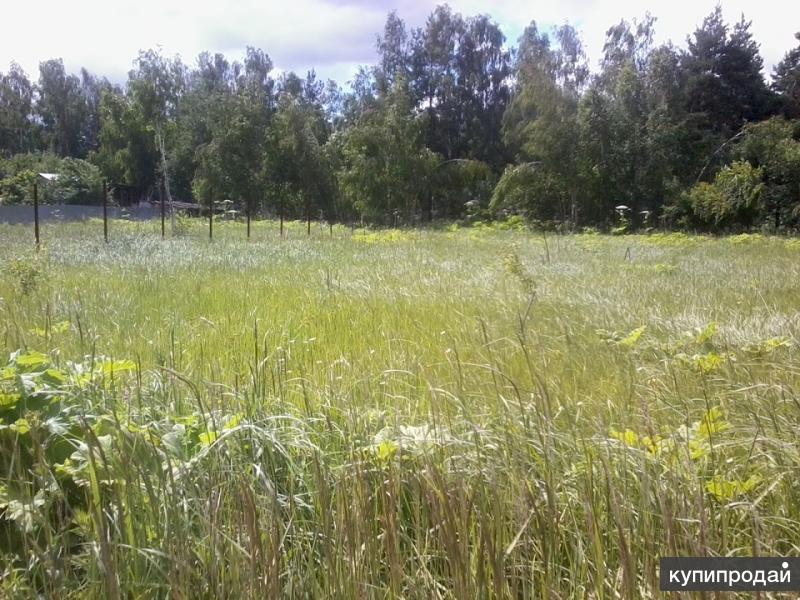 Купить Участок В Рузском Районе