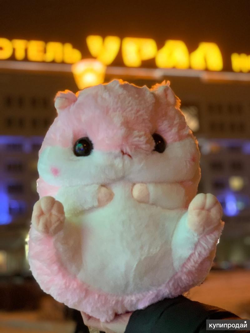 0 кто это. 09. 09. 09. Китайский хомяк игрушка.