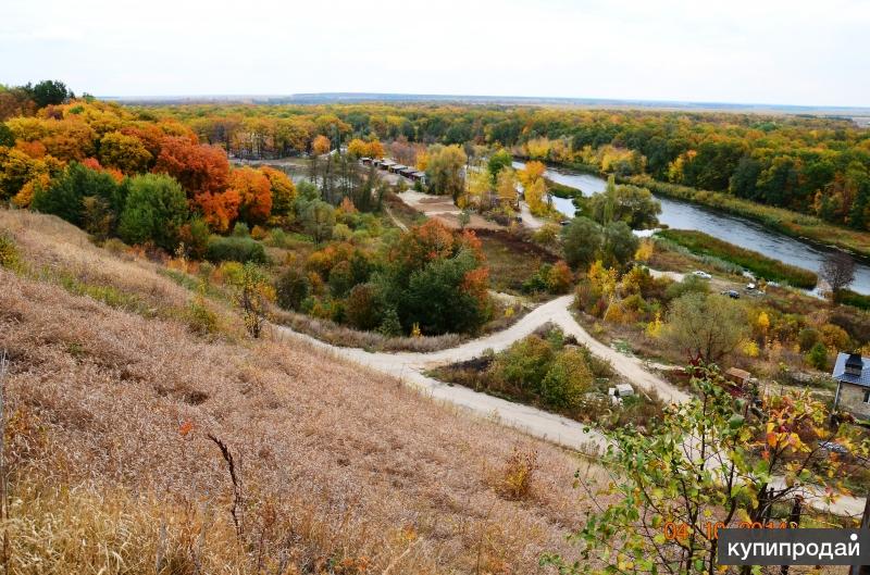 Земля воронежская область. Бор Рамонский район Воронежской области. Писаревка Рамонь. Писаревка Воронежская область Рамонский район. Деревня Писаревка Воронежская область.