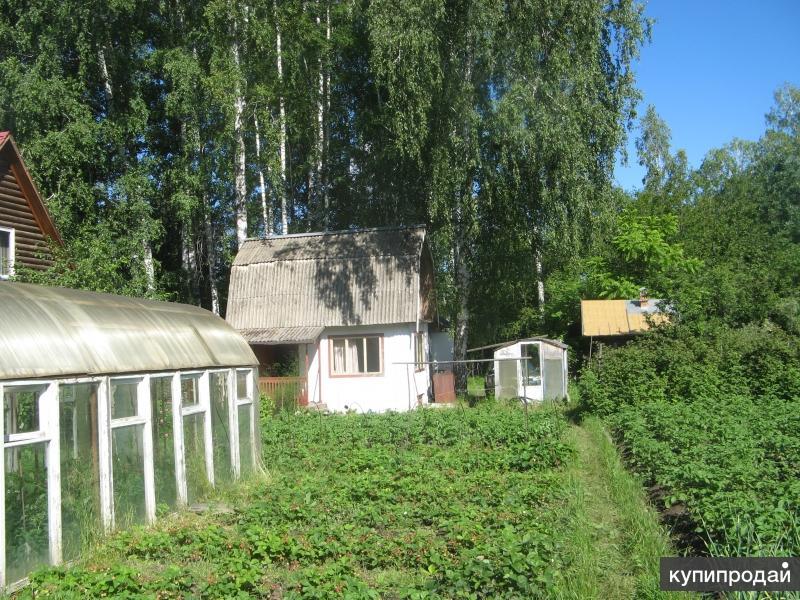Купить Дачу В Академгородке Новосибирск