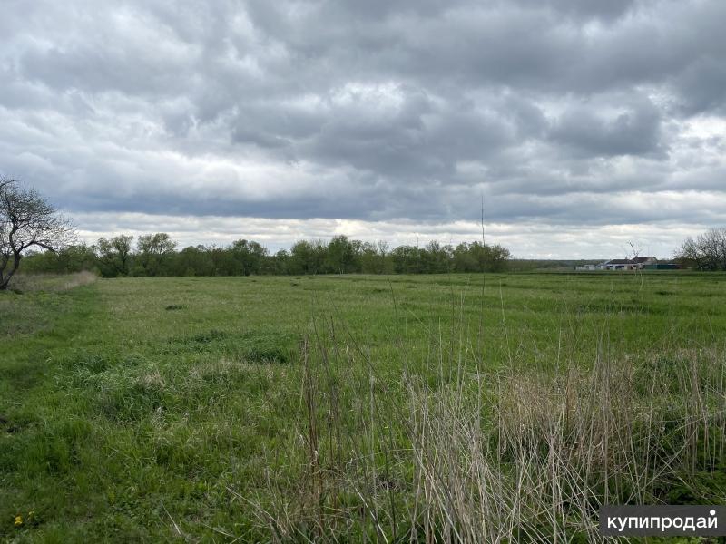Избердей. Погода в новое гаритово. Ново гаритово тамбовская область. Погода в новое гаритово. Новое гаритово.