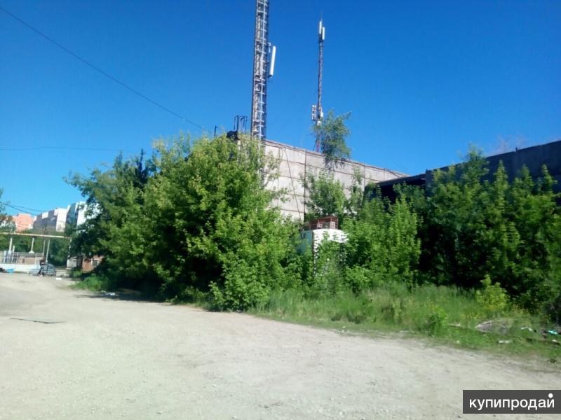 Фото 30 Показала