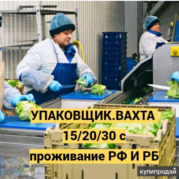 Фасовщица на овощную базу москва