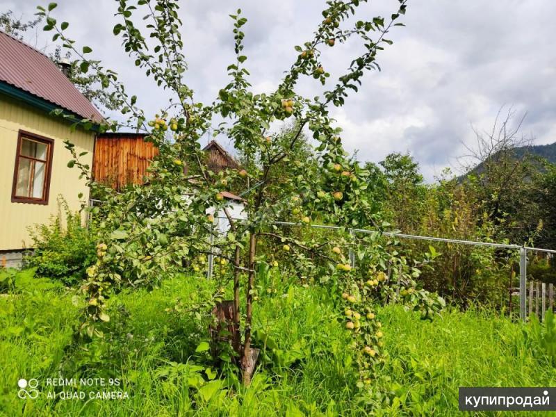 Дача Верхние Черемушки Купить