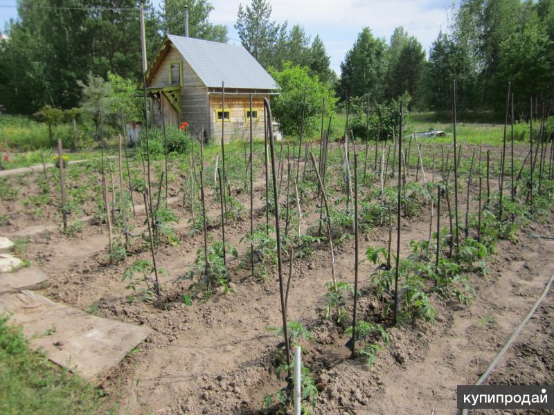 Снт солнечный 1. Участок 24 сотки.