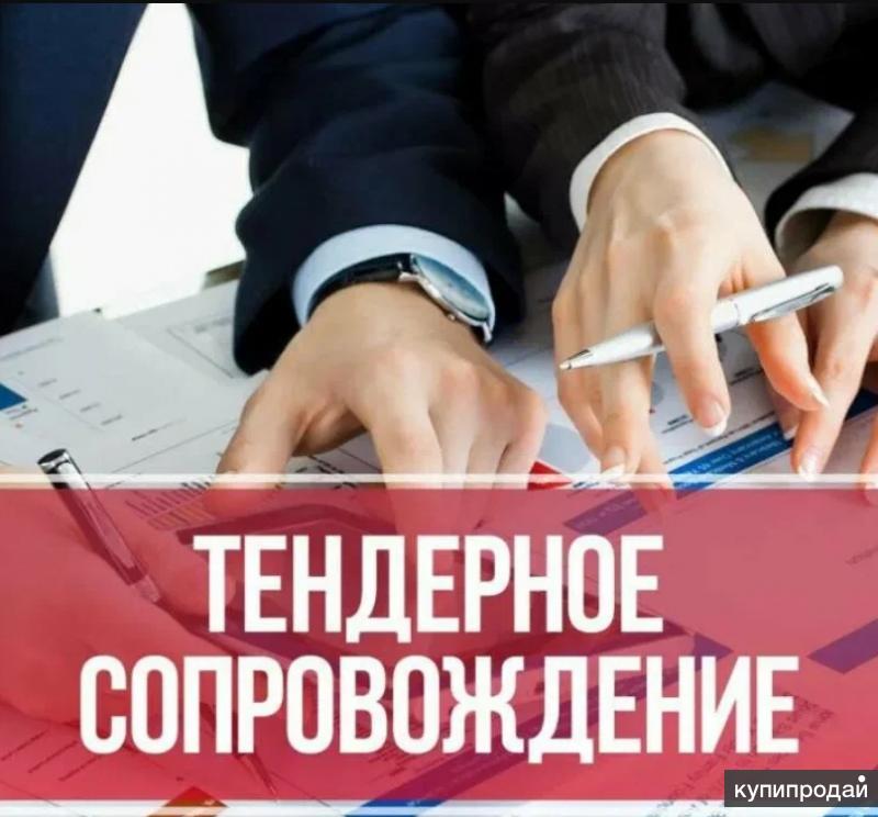 Тендерное сопровождение бизнес план
