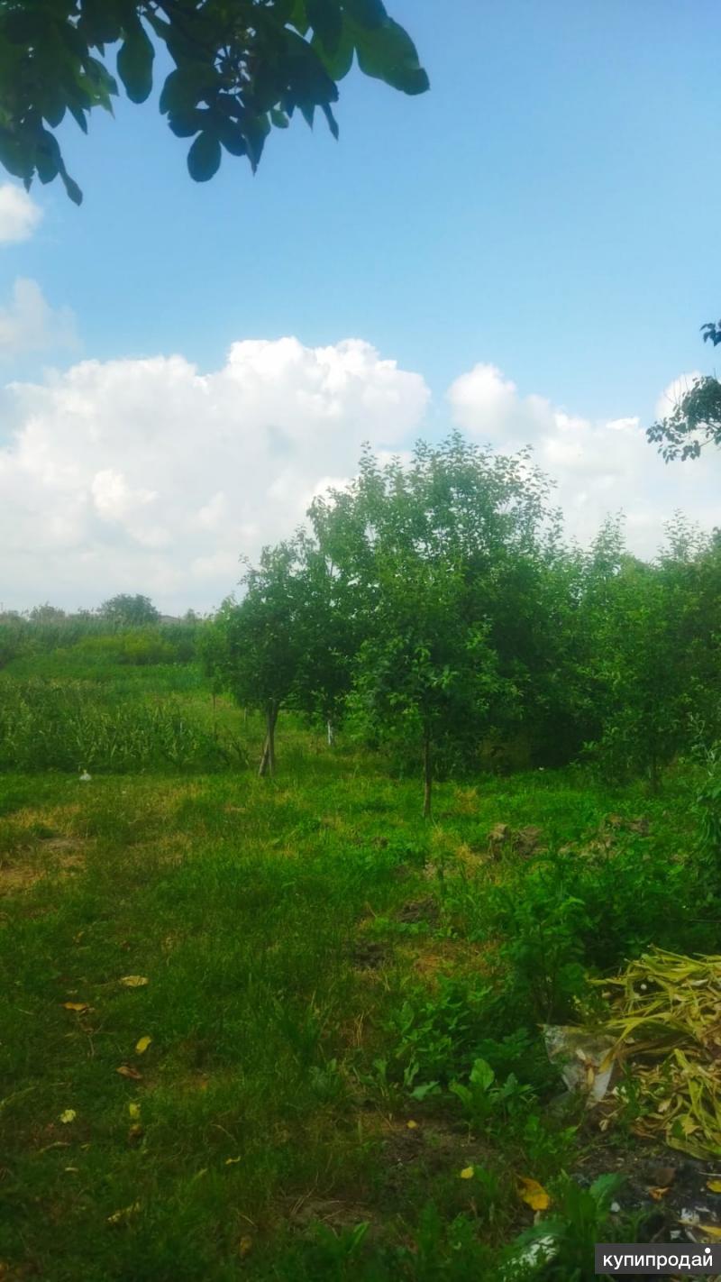 2 Дома в Славянске-на-Кубани