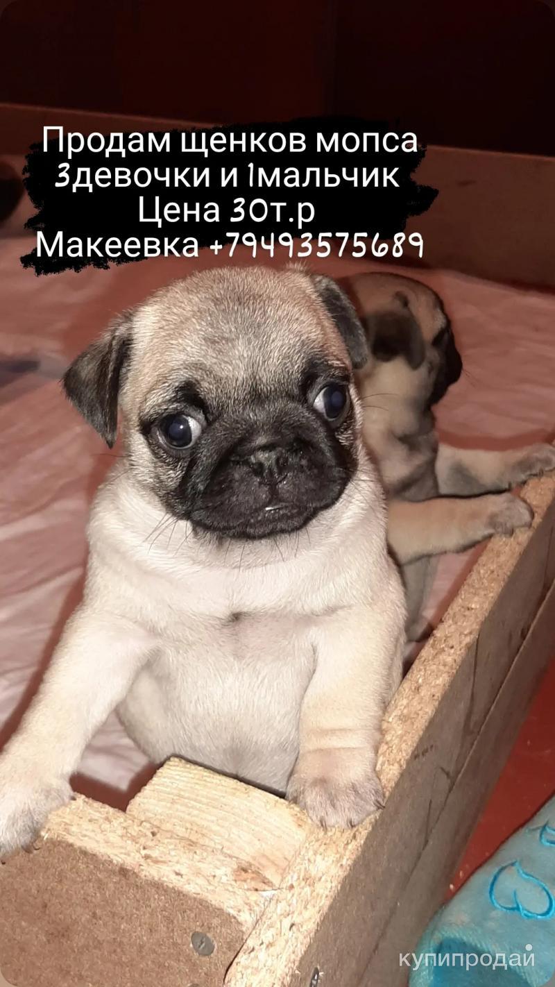 Продам в Макеевке