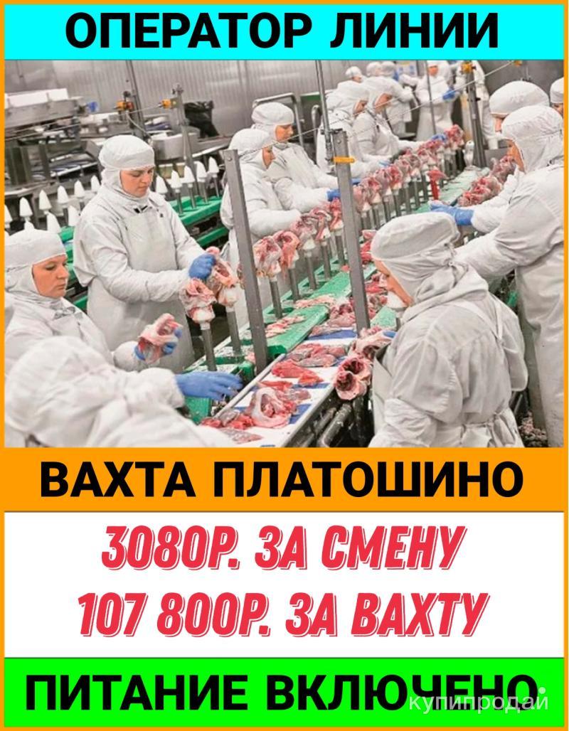 Оператор линии. Птицефабрика в Перми