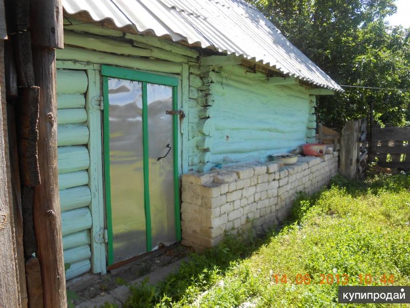 Ореховка самарская. Ореховка Ульяновская область Радищевский район. Село Ореховка Ульяновской области. Ульяновская обл. Радищевский р-н с.Ореховка Церковь. Село Ореховка Радищевский район.