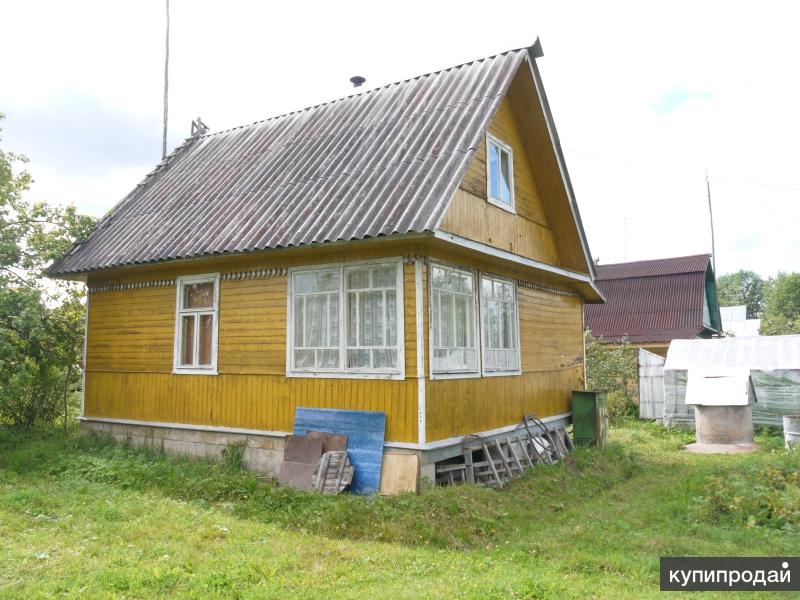 Купить Дачу Лужский Район Мшинская