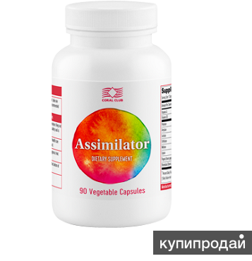 Ферменты