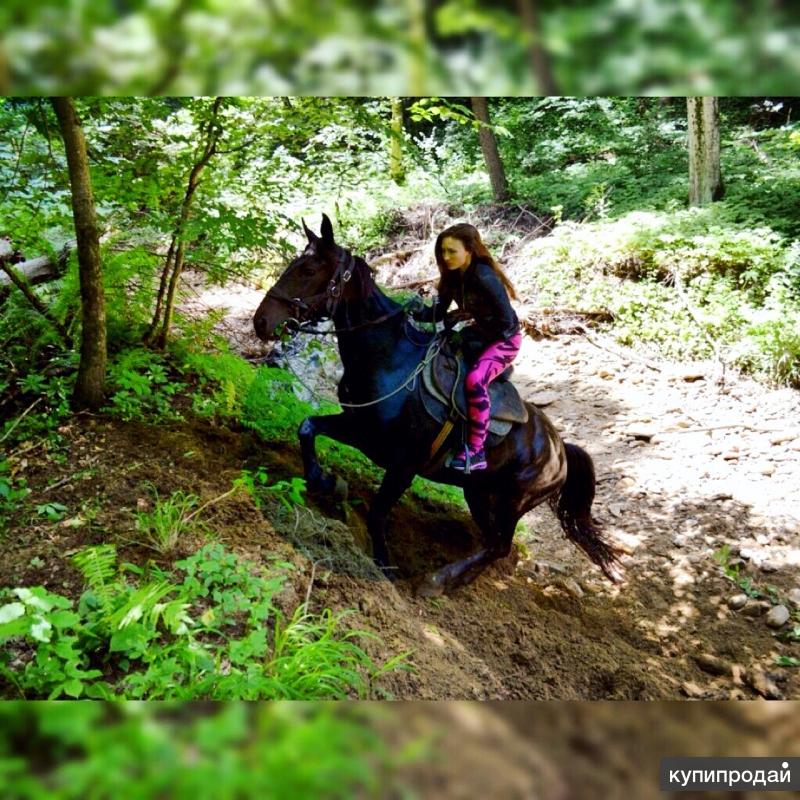 Конные прогулки гуамка. Конные прогулки гуамка. Конные прогулки гуамка. Конные прогулки гуамка. Конные прогулки в гуамке.